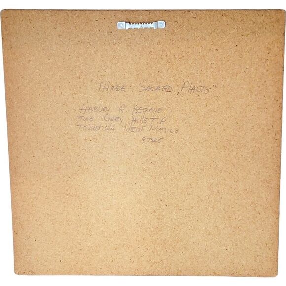 Vintage Navajo Sand Art Painting Three Sacred Plants Native Mexican signed - Picture 2 of 5